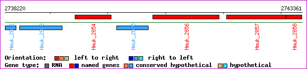 gene map