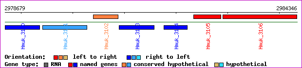 gene map