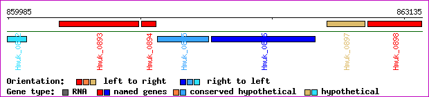 gene map