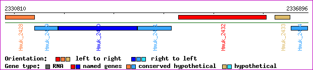 gene map