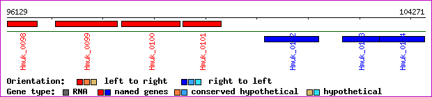 gene map