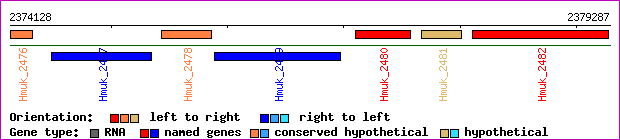 gene map