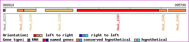 gene map