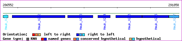 gene map