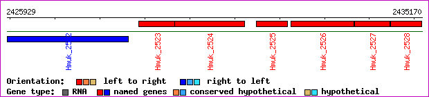 gene map