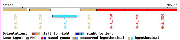 gene map