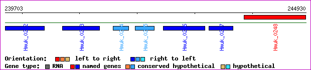 gene map
