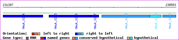gene map