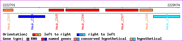 gene map