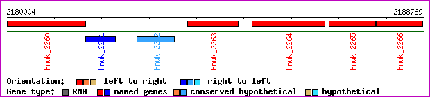 gene map
