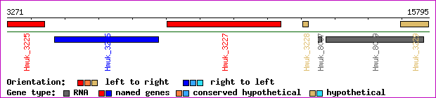 gene map