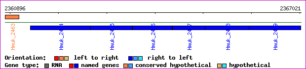 gene map