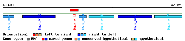 gene map