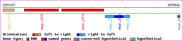 gene map