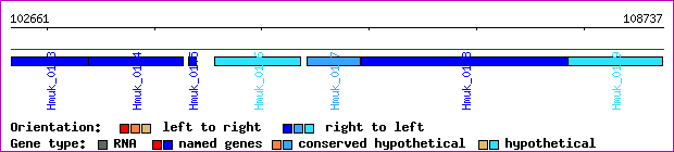 gene map