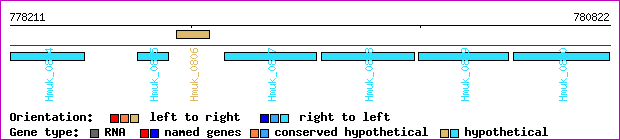gene map