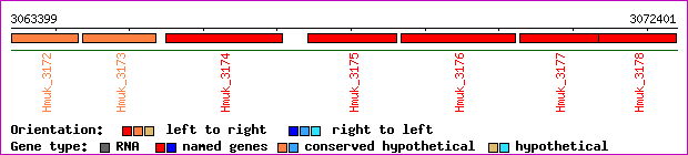 gene map