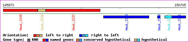 gene map