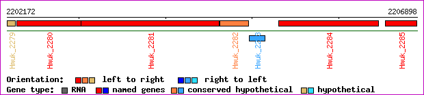 gene map