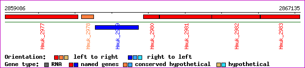 gene map