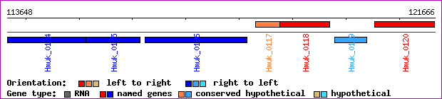 gene map