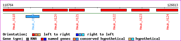 gene map