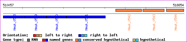 gene map