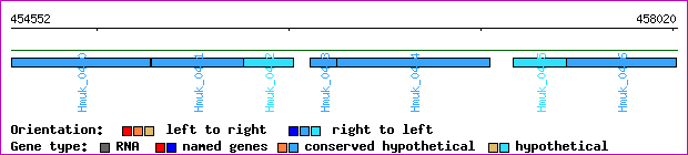 gene map