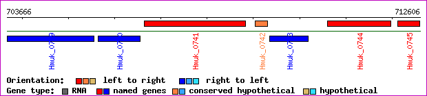 gene map