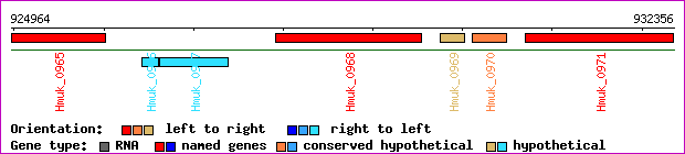 gene map