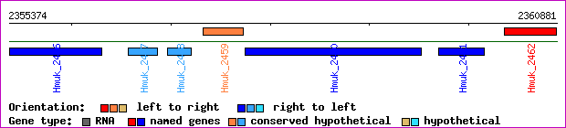 gene map