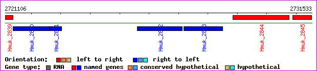 gene map