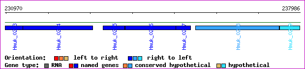 gene map