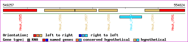gene map