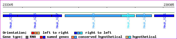 gene map