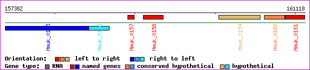 gene map