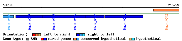 gene map