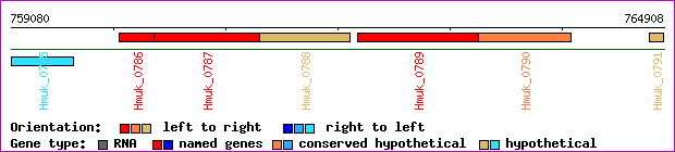 gene map