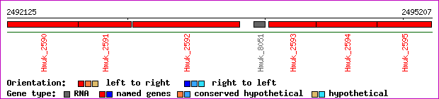 gene map