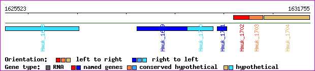 gene map