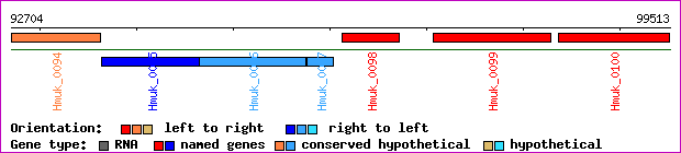 gene map