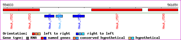 gene map