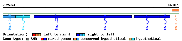 gene map