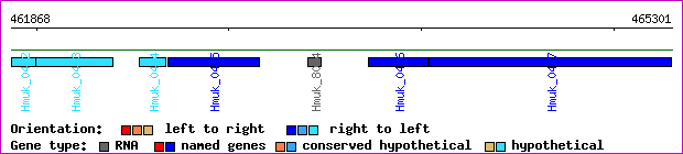 gene map