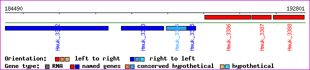 gene map