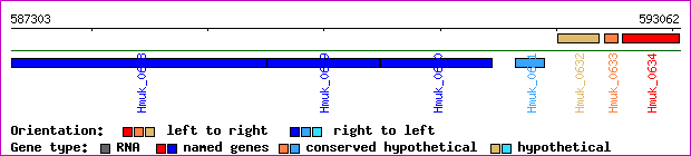gene map