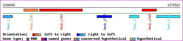 gene map