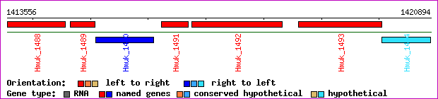 gene map