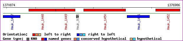gene map