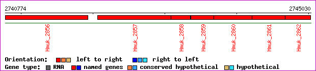 gene map